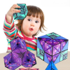 Trò Chơi Trí Tuệ Rubik Magic 3D Nhật Bản